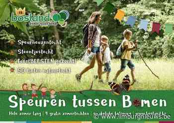 Lommel: Zomertip! Vier (speur)tochten tussen de Bomen geven feestelijke zomertoets in Bosland (29 juni 2021) - Limburgnieuws.be