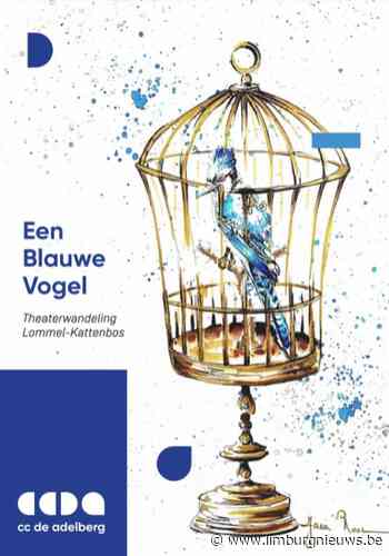 Lommel: Zomertip! Theaterwandeling Een Blauwe Vogel (29 juni 2021) - Limburgnieuws.be
