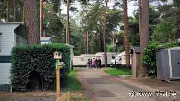 Komst van honderdtal “Roemeense zakentoeristen” veroorzaakt... (Lommel) - Het Belang van Limburg Mobile - Het Belang van Limburg
