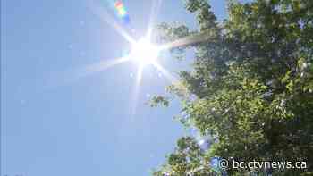 Heat wave update: 486 sudden deaths reported in B.C. over 5 days
