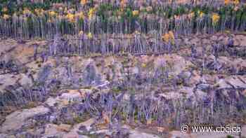 Rapid permafrost thaw expected in N.W.T., Yukon after heat wave, experts warn