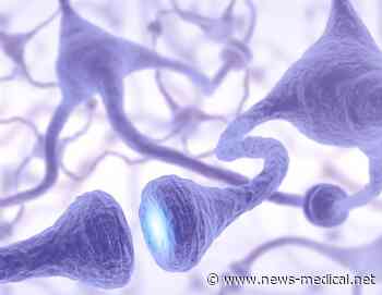 Ohio professor receives NIH grant to study age-related changes in motor neuron excitability
