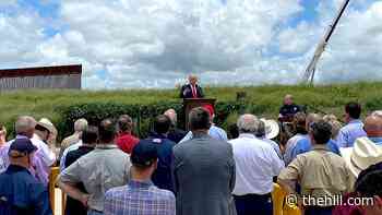 Trump brings show to border