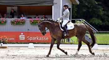 Reitturnier in Lahr-Reichenbach - Reitsport - Badische Zeitung - Badische Zeitung