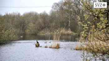 Grenzänderung zu Schwerin: Landkreis Ludwigslust-Parchim wächst um 660 Quadratmeter | svz.de - svz – Schweriner Volkszeitung