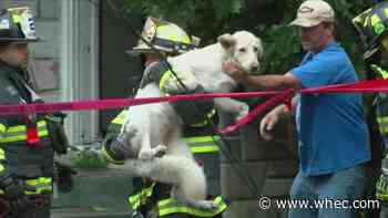 Man and dog rescued after severe storm knocks tree onto house in Utica