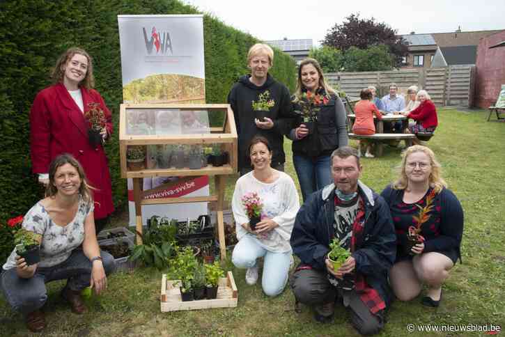Ruilsysteem voor plantjes krijgt stek in zomerbar