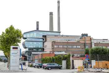Provinciebestuur verstrengt lood-in-bloednormen voor Umicore in Hoboken - Gazet van Antwerpen