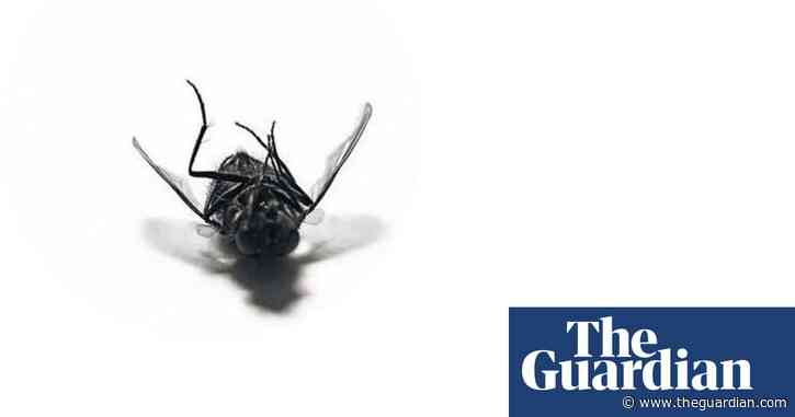 OzKitsch: the 10 funniest things I have ever seen (on the internet)