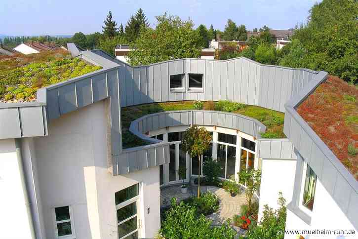 Gründach Initiative startet mit Förderung