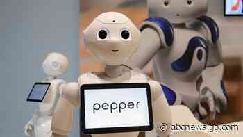 Japan's SoftBank says Pepper robot remains 'alive' and well