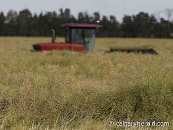 Agtech investment firm to set up new Canadian headquarters in Calgary - Calgary Herald