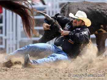 Meet the competitors who will be wrangling bulls and taming broncos at the Calgary Stampede - Calgary Herald
