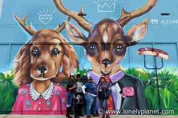 The 12 can't-miss things to do in Houston - Lonely Planet Travel News