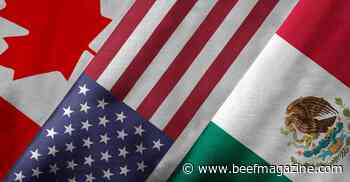 USMCA celebrates one-year anniversary