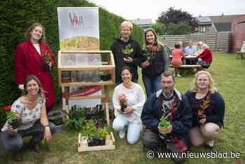 Ruilsysteem voor plantjes krijgt stek in zomerbar (Beernem) - Het Nieuwsblad
