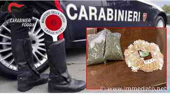 Oltre 700 grammi di erba e 5700 euro in contanti, militari stroncano gli affari di droga di un 37enne foggiano - l'Immediato