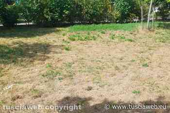 "Dopo il taglio dell'erba a Valle Faul hanno lasciato tutto il secco" - Tuscia Web