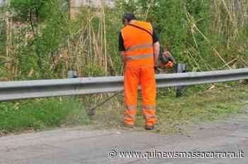 Si taglia l'erba e scattano divieti di sosta - Qui News Massa Carrara