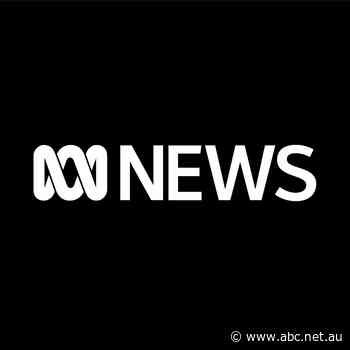 Byron Bay Mermaids star in new Whitlams film clip - ABC News