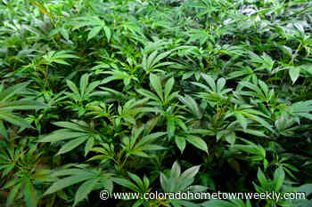 Lafayette-based Urban-gro boosts offerings with architecture firm acquisition - Colorado Hometown Weekly