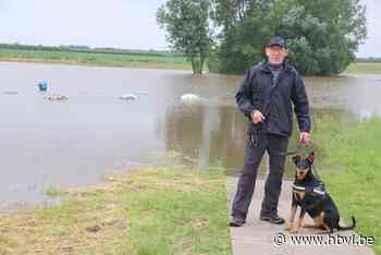 Park met helmen van de 44 Limburgse gemeenten in Halen staat volledig onder water - Het Belang van Limburg