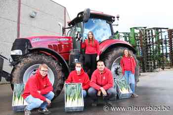 KLJ Oppuurs verkoopt lokale groentepakketten om lokalen te financieren - Het Nieuwsblad