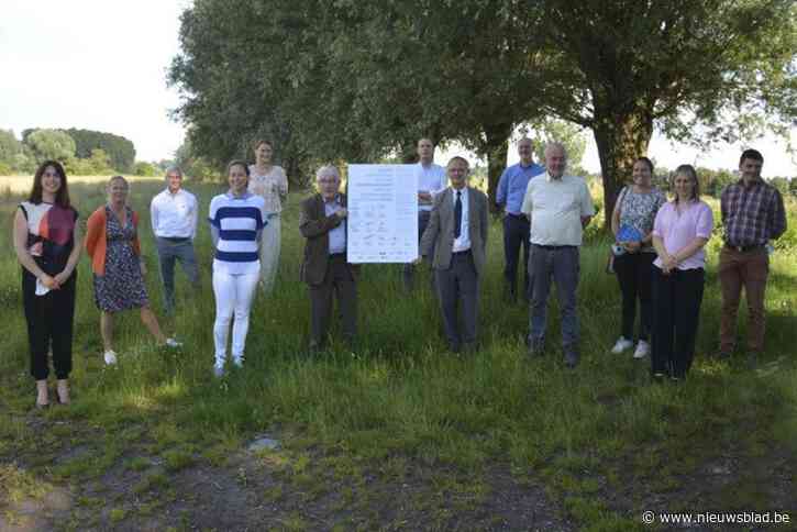 43 maatregelen om risico op overstroming Zwalmbeek te beperken: “Iedereen moet zijn steentje bijdragen”