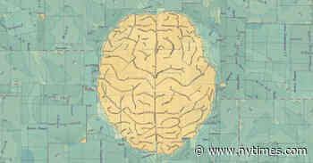 The Maps Our Brains Create