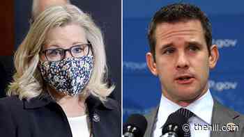 Kinzinger celebrates Cheney being named to Jan. 6 select committee