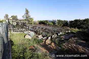 Ils luttent contre un projet immobilier de 181 logements à Antibes