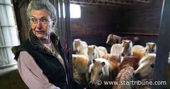 Rural Minnesota veterinarian gets $1.5 million in dispute over miniature pony herd