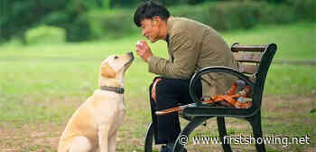 New US Trailer for Adorable Guide Dog Film 'Little Q' from Hong Kong