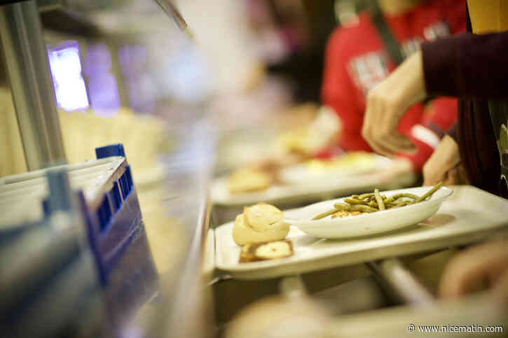 Prix de la cantine, colonie de vacances, tarifs... Tout ce qui va changer pour les enfants à Villeneuve-Loubet