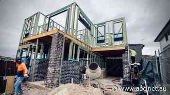 We don't have enough timber to cater for the housing boom 'nobody in Australia predicted'