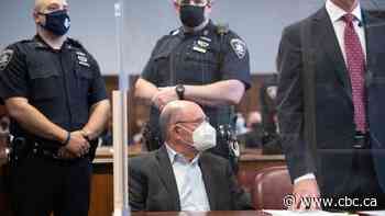 Trump Organization, chief financial officer indicted on tax fraud charges