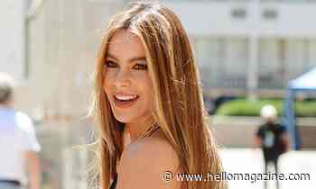 Sofia Vergara floors fans in strapless black bustier at family party – wait until you see the cake - HELLO!