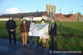 Bedrijventerrein Kwakkel wordt uitgebreid met 2 hectare: “We hebben hier lang op gewacht” - Het Nieuwsblad