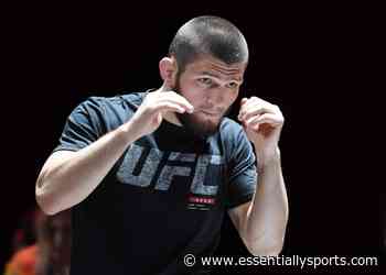 ‘Well That’s Interesting’- Khabib Nurmagomedov Open to ‘The Ultimate Fighter’ Coaching on One Condition - EssentiallySports