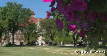 ‘We knew it was there’: Former B.C chief says unmarked graves near Cranbrook need more context