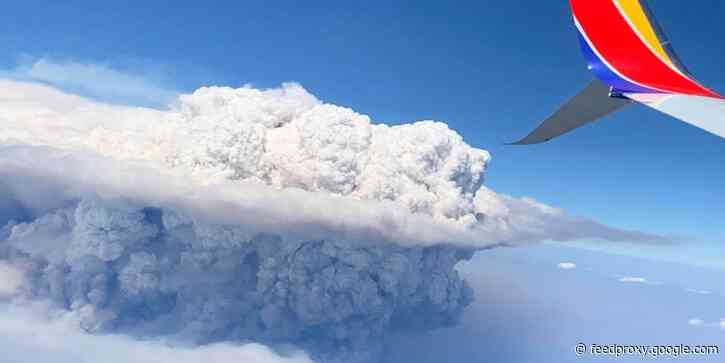 Wildfires and record temperatures in Canada are generating 'fire-breathing' pyrocumulonimbus thunderstorms