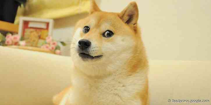 Top stories this PM: Delta surges in 4 states; baby doge coin doubles; condo collapse rescuers lose hope