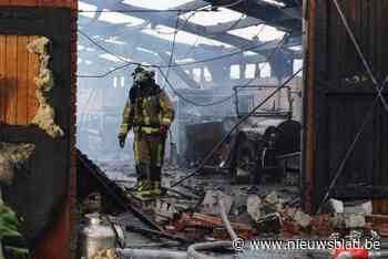 Organisatie grootste vogelshow van het land verliest alles in loodsbrand na blikseminslag: “Het was al moeilijk door corona”