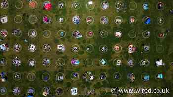 We might never reach herd immunity