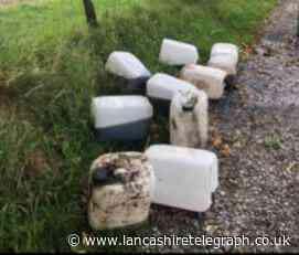 Sharp-eyed Blackburn resident traps garden waste fly-tipper