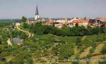 8 juli: moment van de waarheid voor fusie Alken, Borgloon, Heers, Kortessem en Wellen