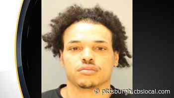 Local Man To Stand Trial For Killing In Muddy Creek Township
