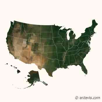 Average Colors of the World