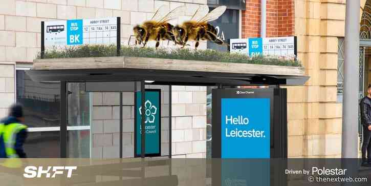 Leicester installs bee-friendly bus stops
