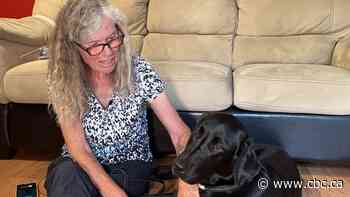 Service dogs 'a life changer' for those in need as pandemic further limits mobility